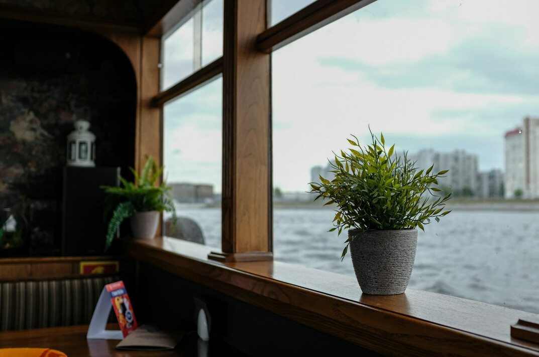 cozy cafe interior