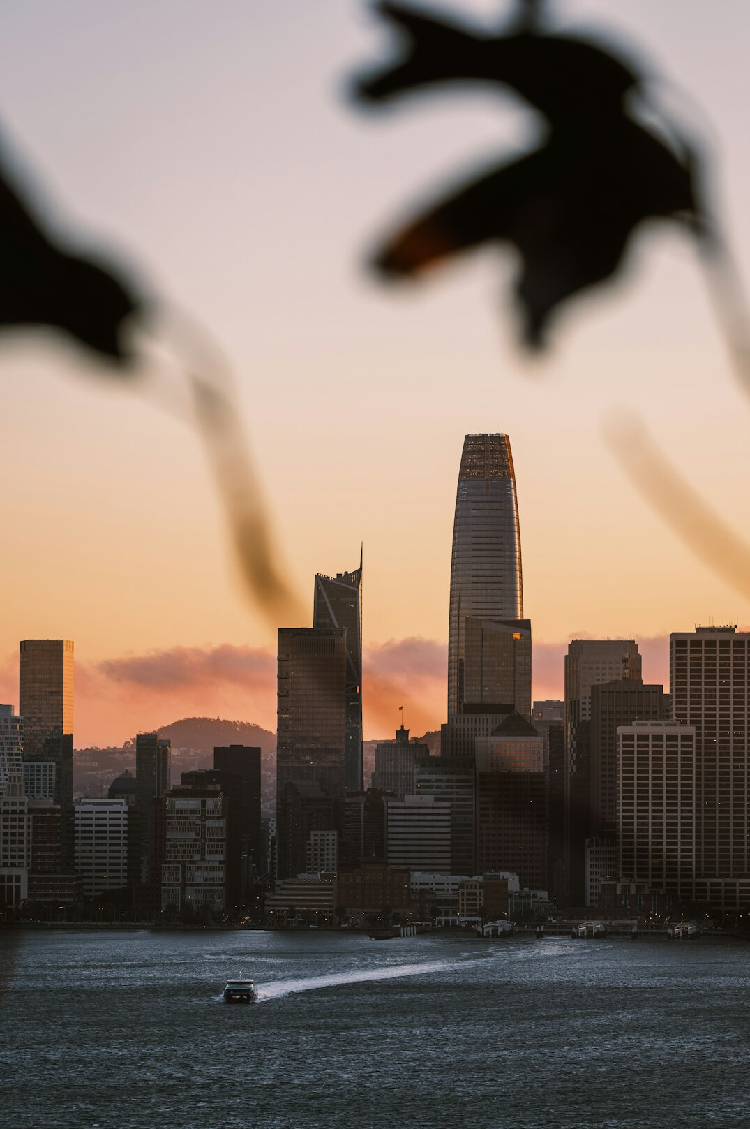 urban sunset skyline